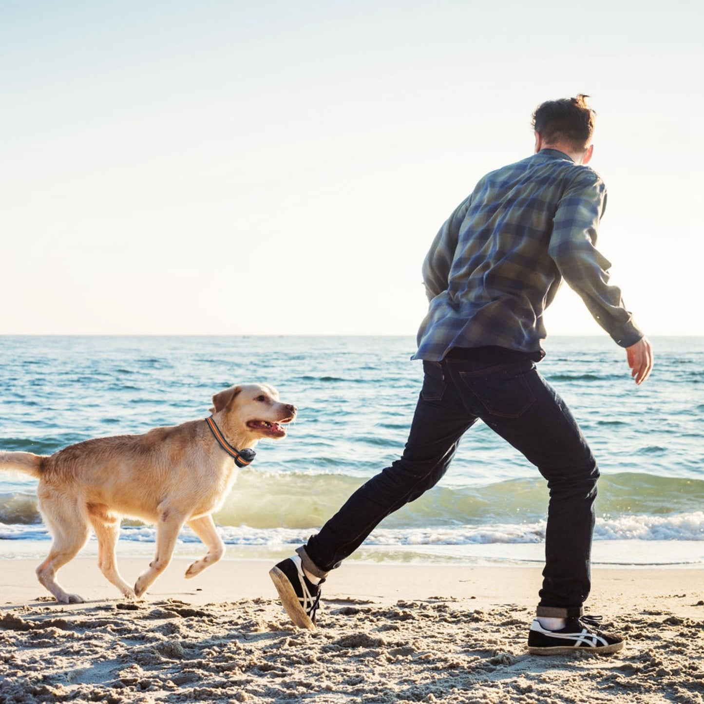 Ziior SafePaw™ GPS Fence & Tracker