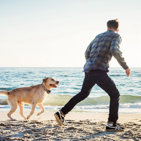 Ziior SafePaw™ GPS Fence & Tracker