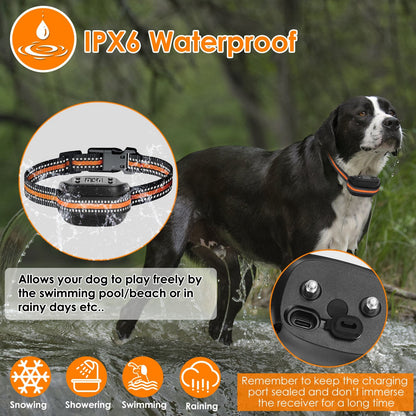 Ziior SafePaw™ GPS Fence & Tracker